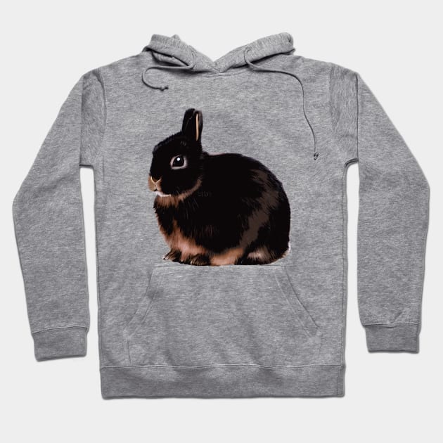 Chubby Bunny Black Otter Netherland Dwarf Rabbit Hoodie by DaysuCollege